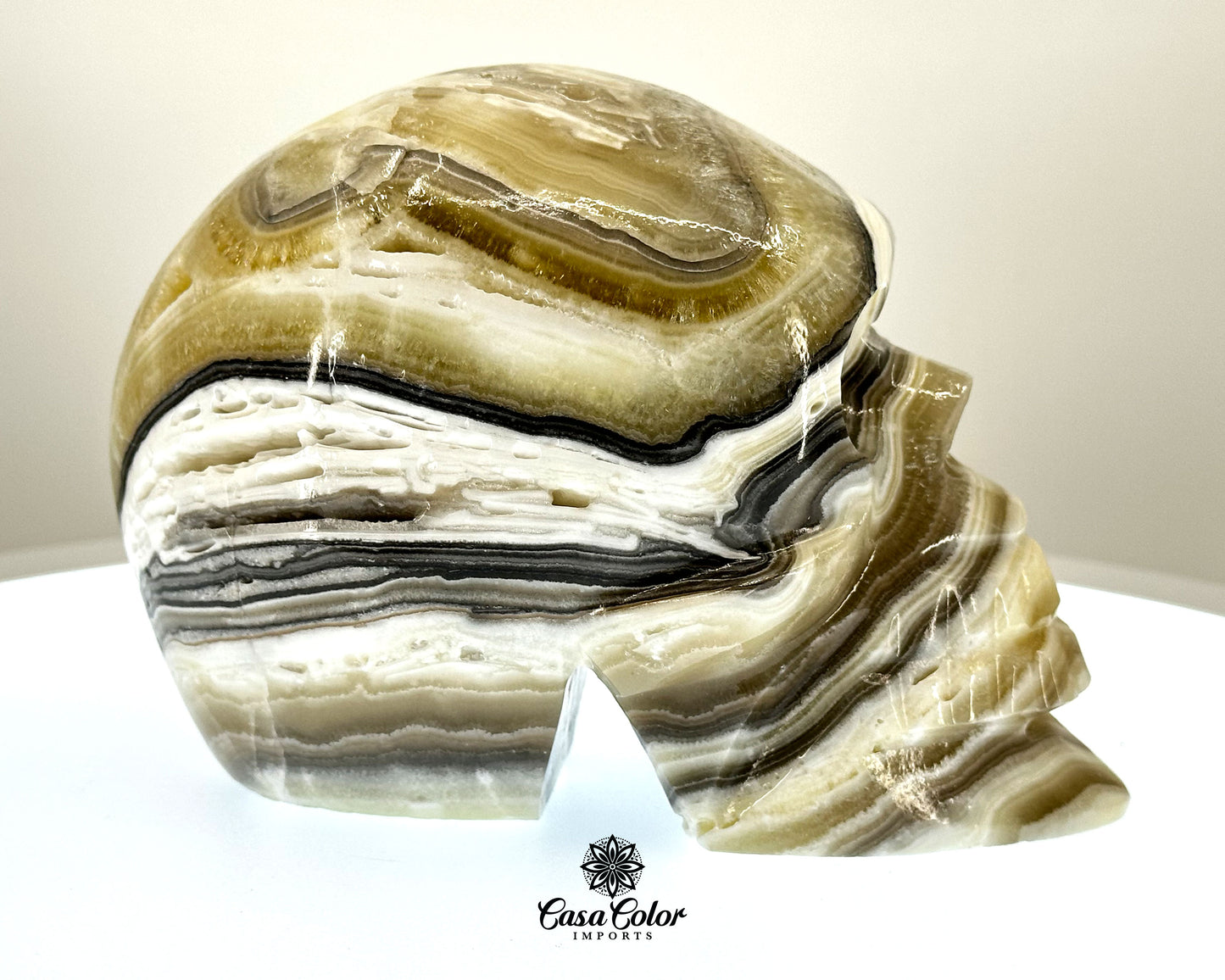 Black and White Beta Onyx Calcite Hand Carved Realistic Skull - 6.25"