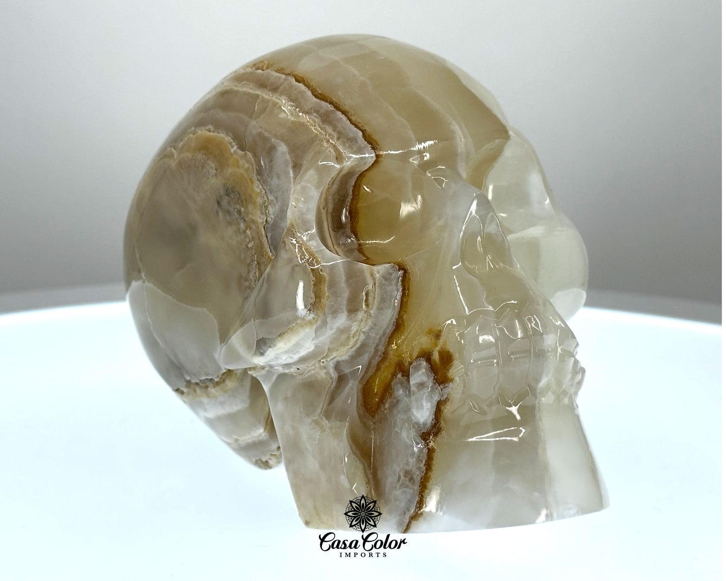 Beige and White Calcite Onyx Hand Carved Realistic Skull - 4.75"