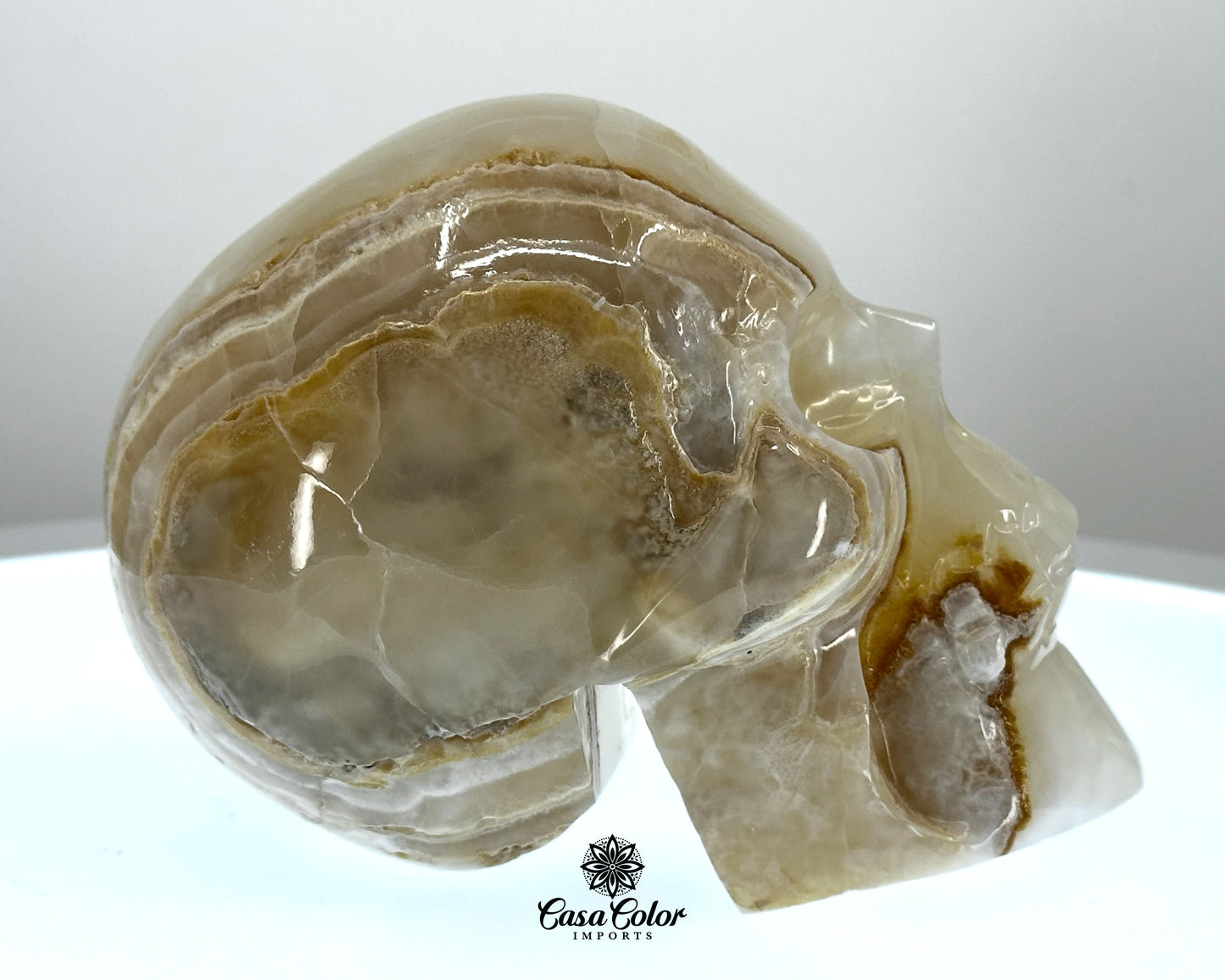 Beige and White Calcite Onyx Hand Carved Realistic Skull - 4.75"