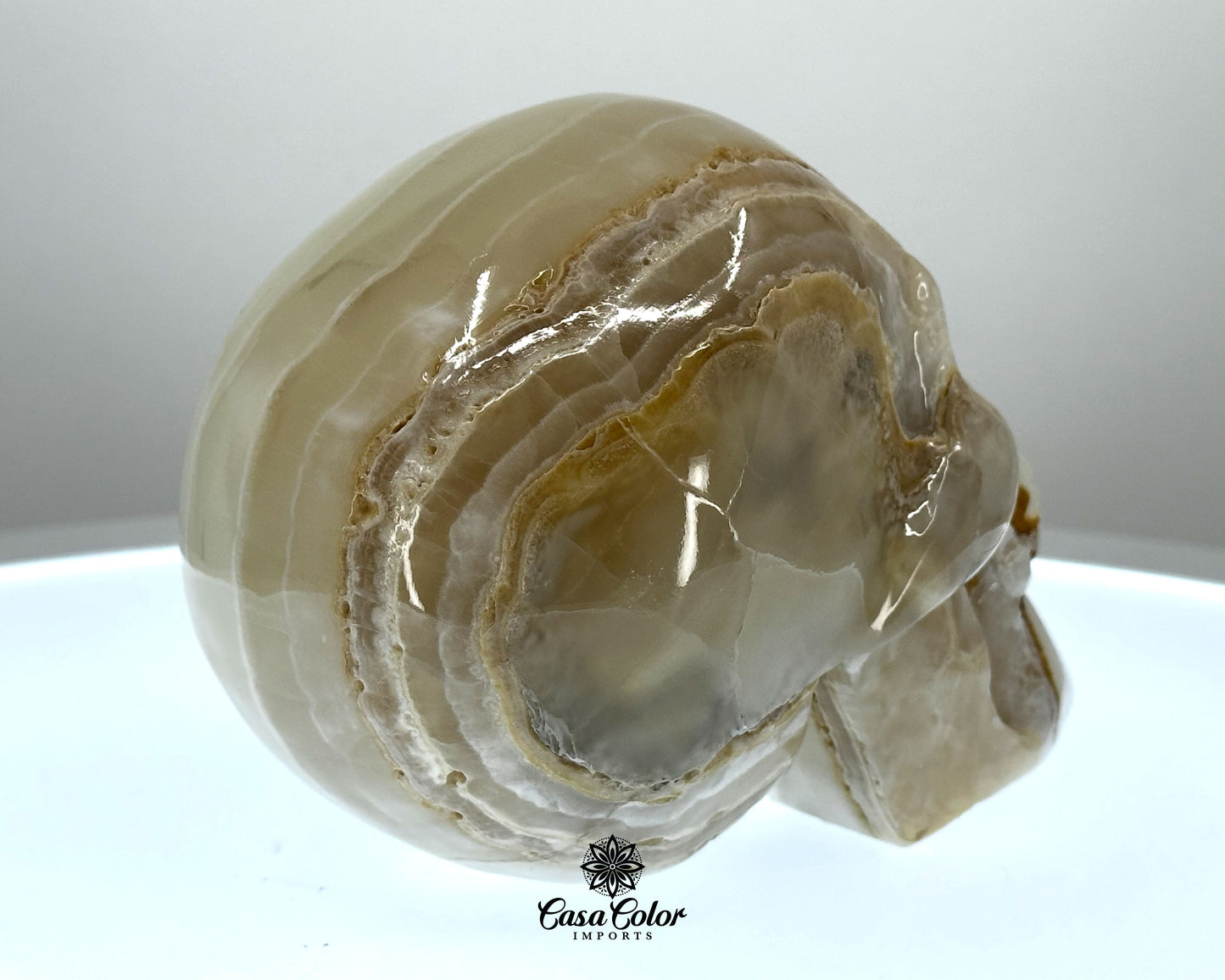 Beige and White Calcite Onyx Hand Carved Realistic Skull - 4.75"