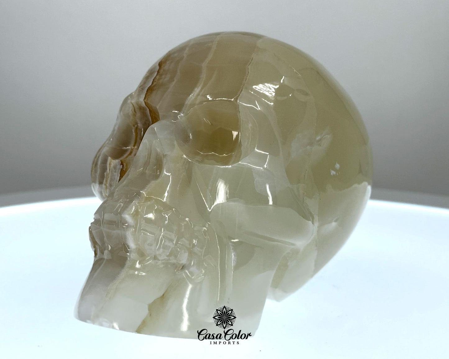 Beige and White Calcite Onyx Hand Carved Realistic Skull - 4.75"