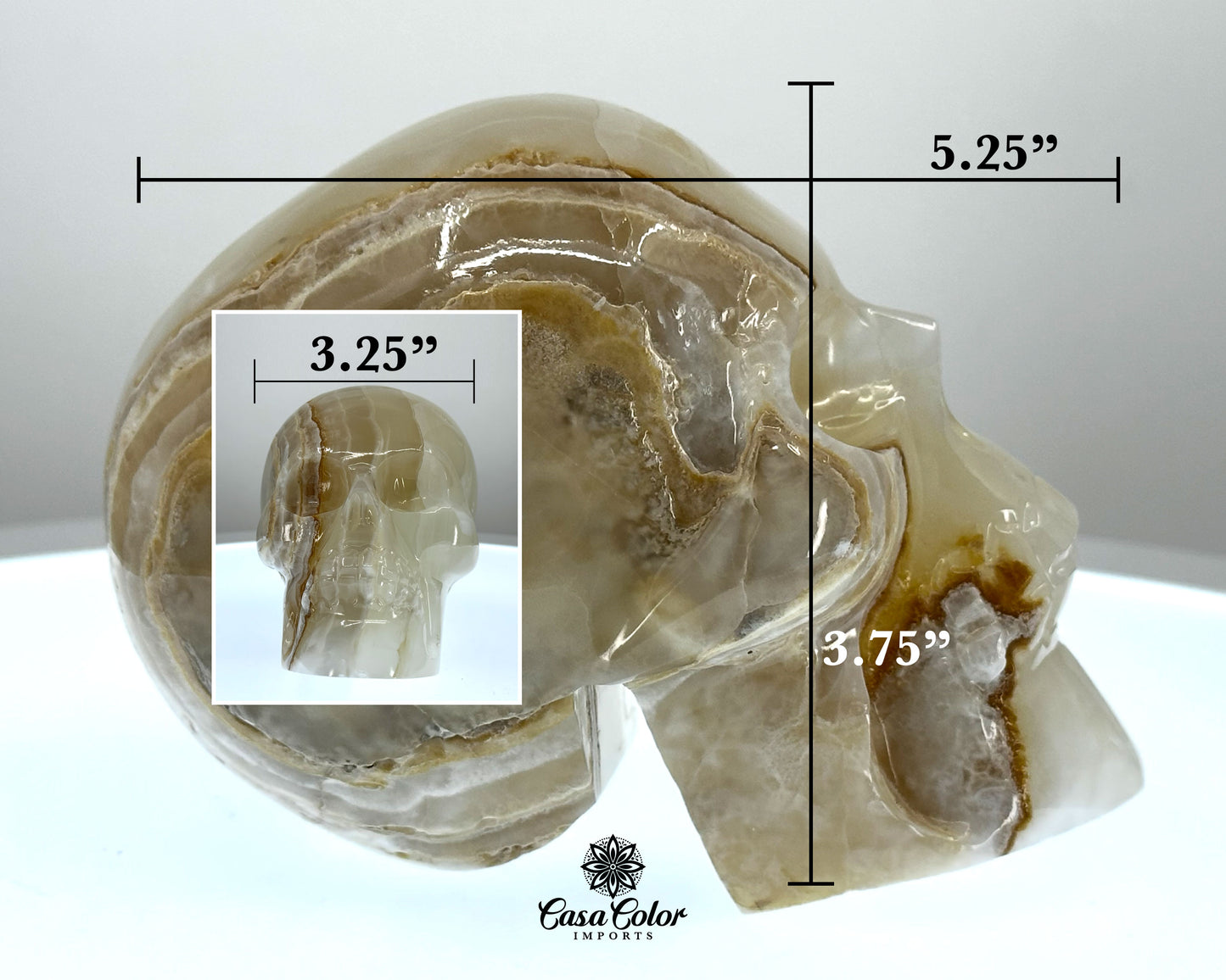 Beige and White Calcite Onyx Hand Carved Realistic Skull - 4.75"