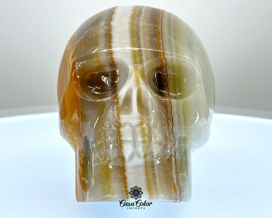 Brown and White Stripes Calcite Onyx Hand Carved Realistic Skull - 4.75"