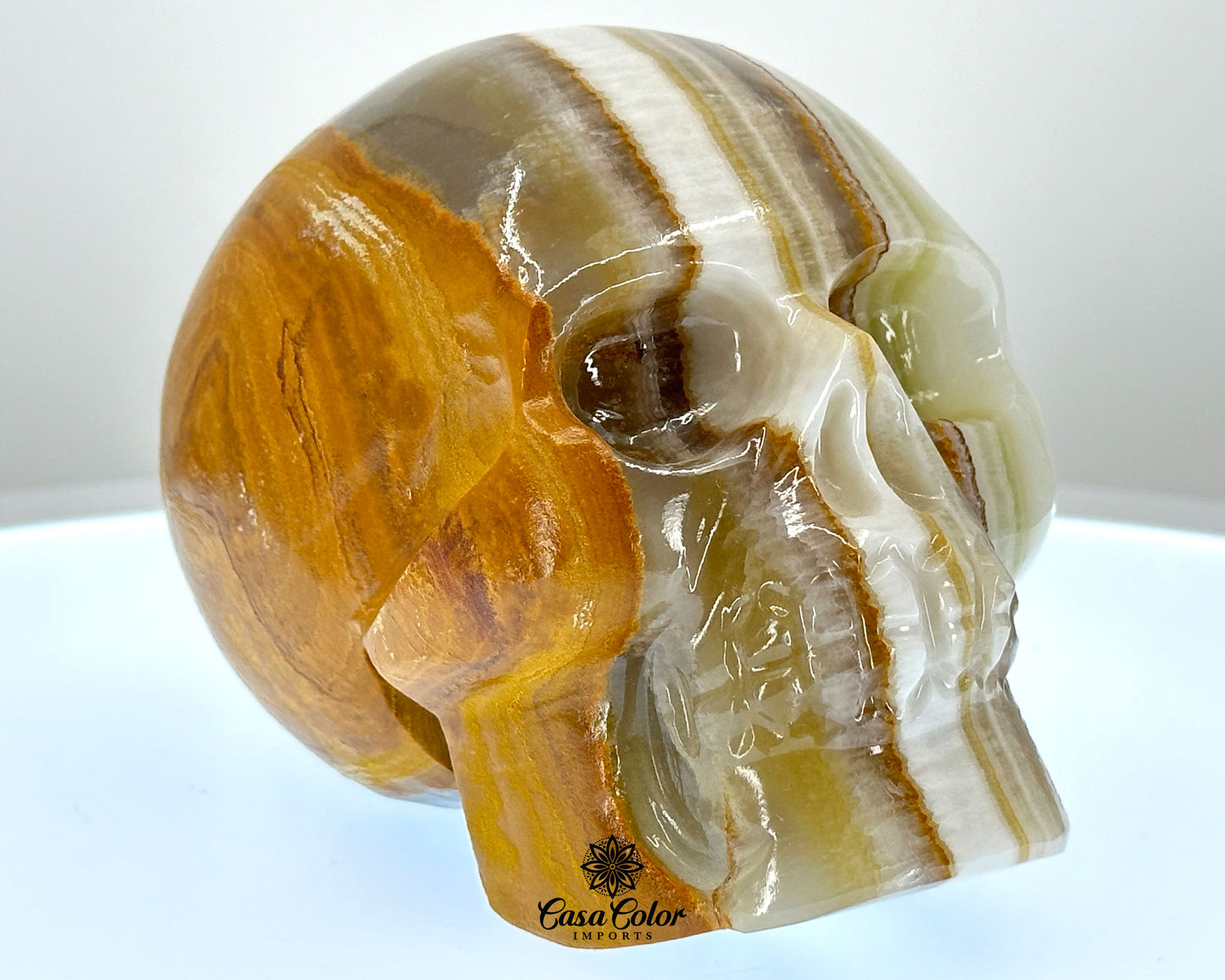 Brown and White Stripes Calcite Onyx Hand Carved Realistic Skull - 4.75"