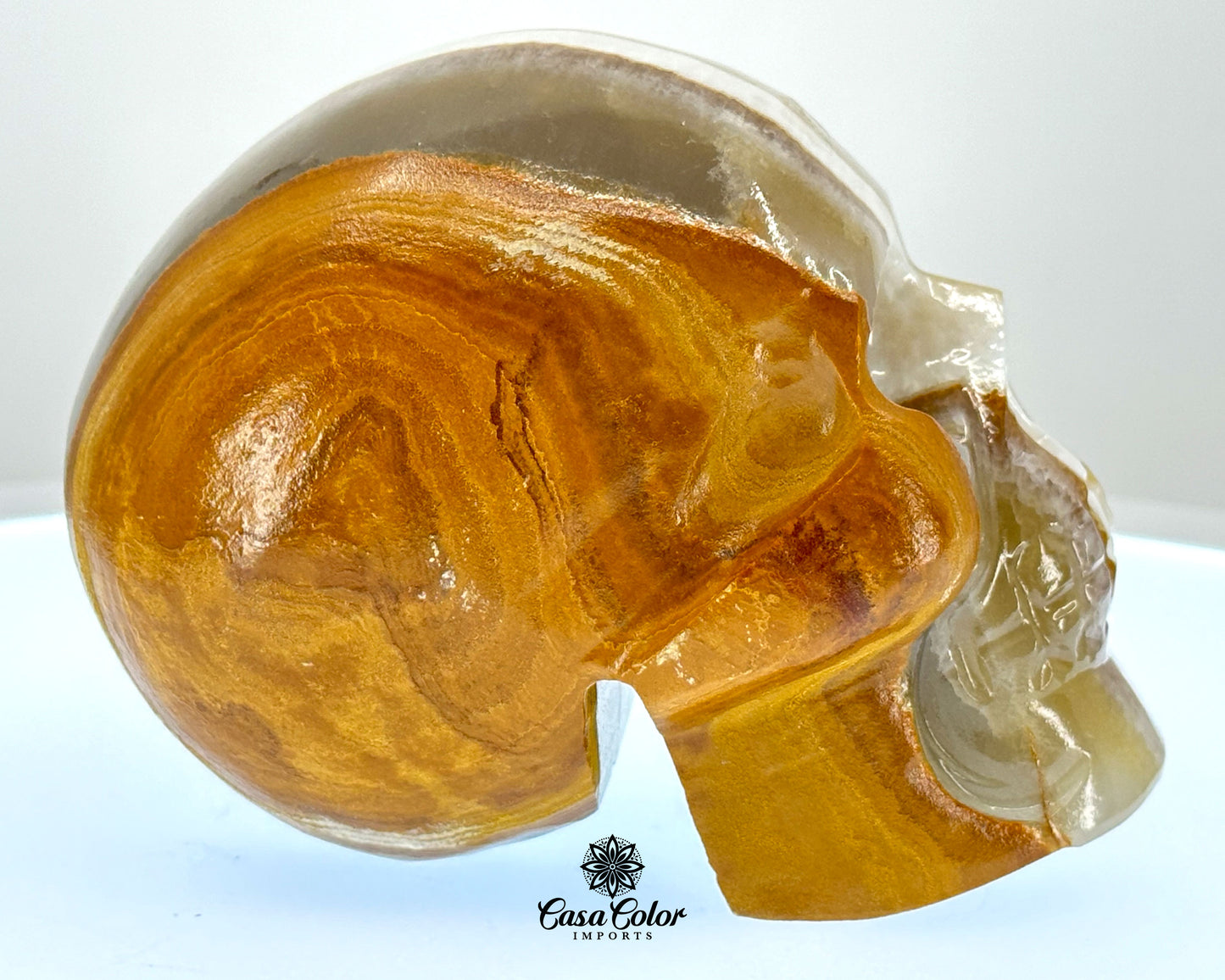 Brown and White Stripes Calcite Onyx Hand Carved Realistic Skull - 4.75"