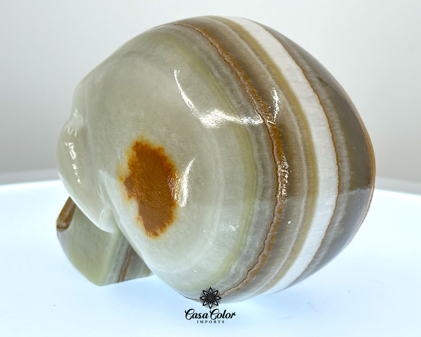 Brown and White Stripes Calcite Onyx Hand Carved Realistic Skull - 4.75"