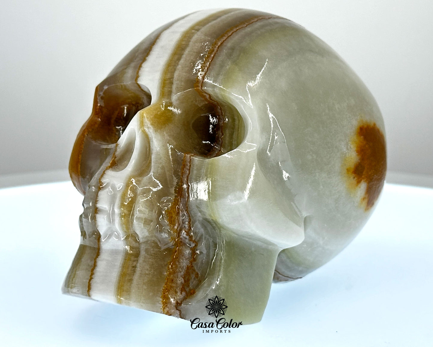 Brown and White Stripes Calcite Onyx Hand Carved Realistic Skull - 4.75"