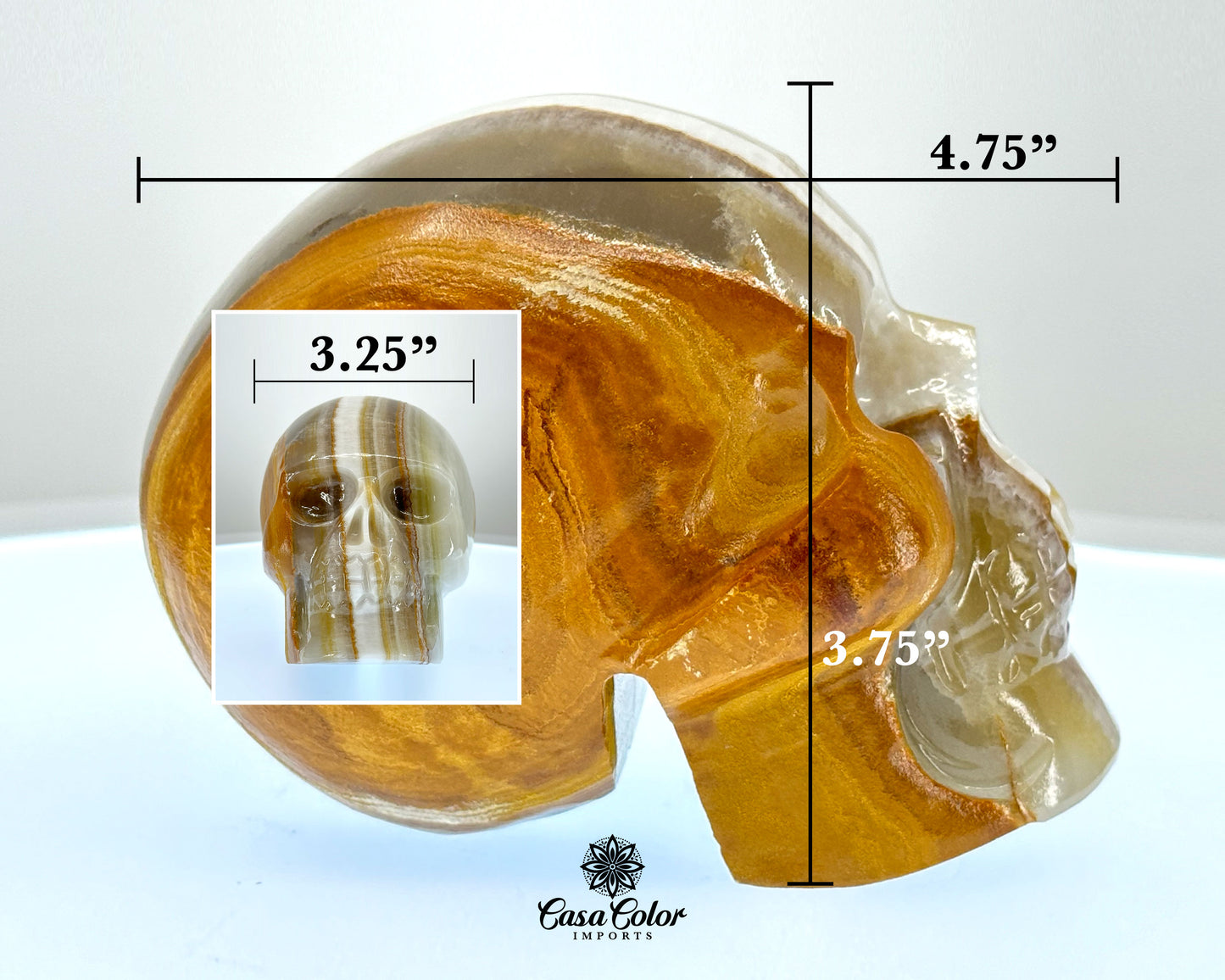 Brown and White Stripes Calcite Onyx Hand Carved Realistic Skull - 4.75"