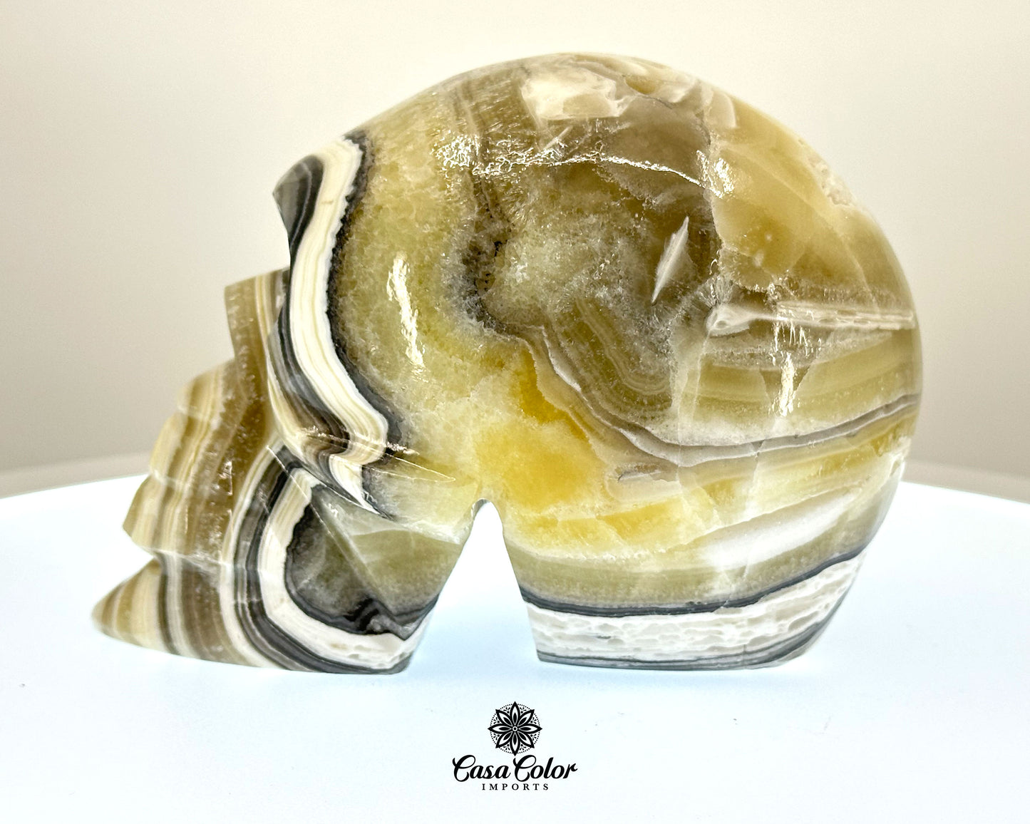 Black and White Beta Onyx Calcite Hand Carved Realistic Skull - 6.25"