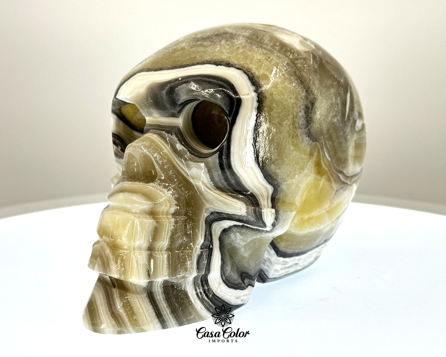 Black and White Beta Onyx Calcite Hand Carved Realistic Skull - 6.25"