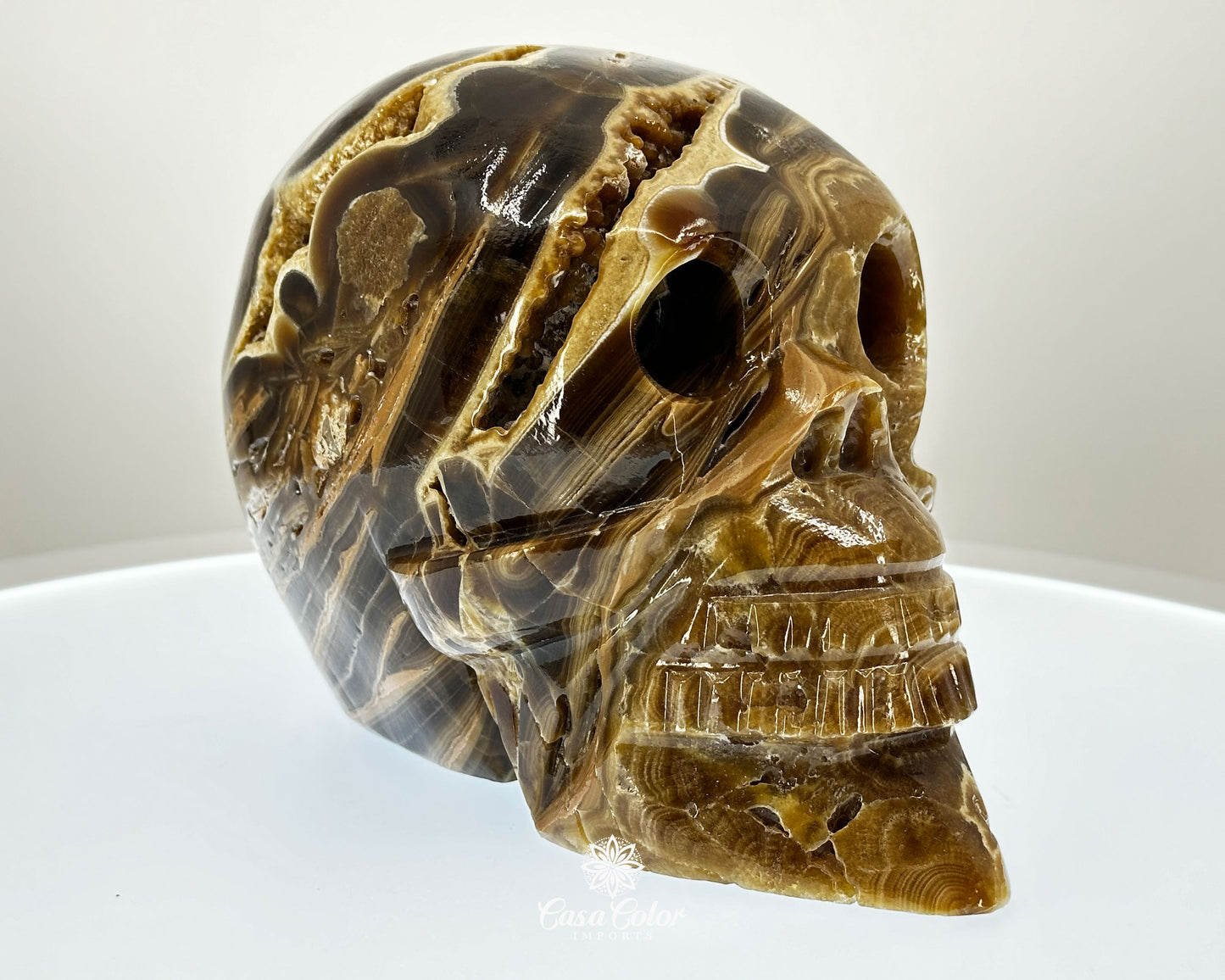 Banded Brown Onyx Hand Carved Realistic Skull with Crystal Formations- 6.25"