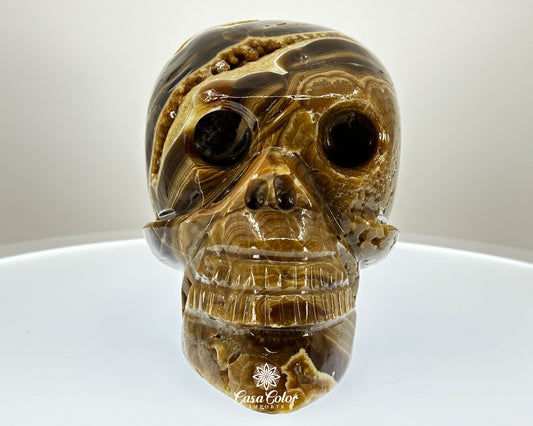 Banded Brown Onyx Hand Carved Realistic Skull with Crystal Formations- 6.25"