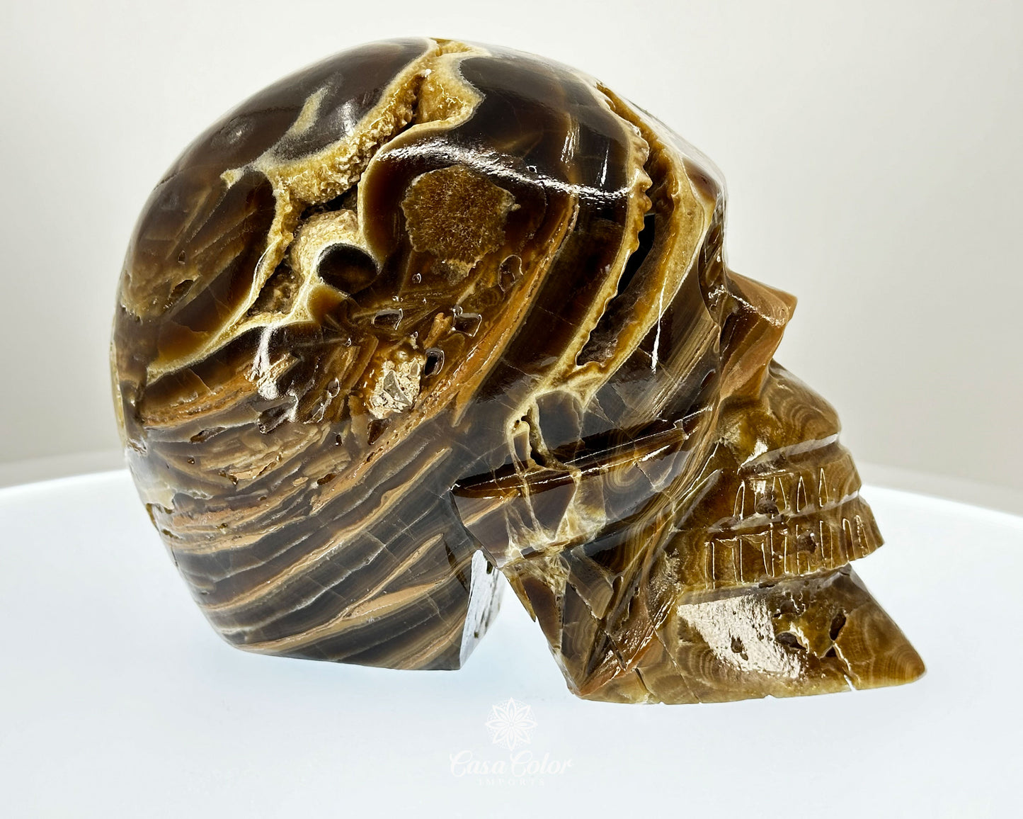 Banded Brown Onyx Hand Carved Realistic Skull with Crystal Formations- 6.25"