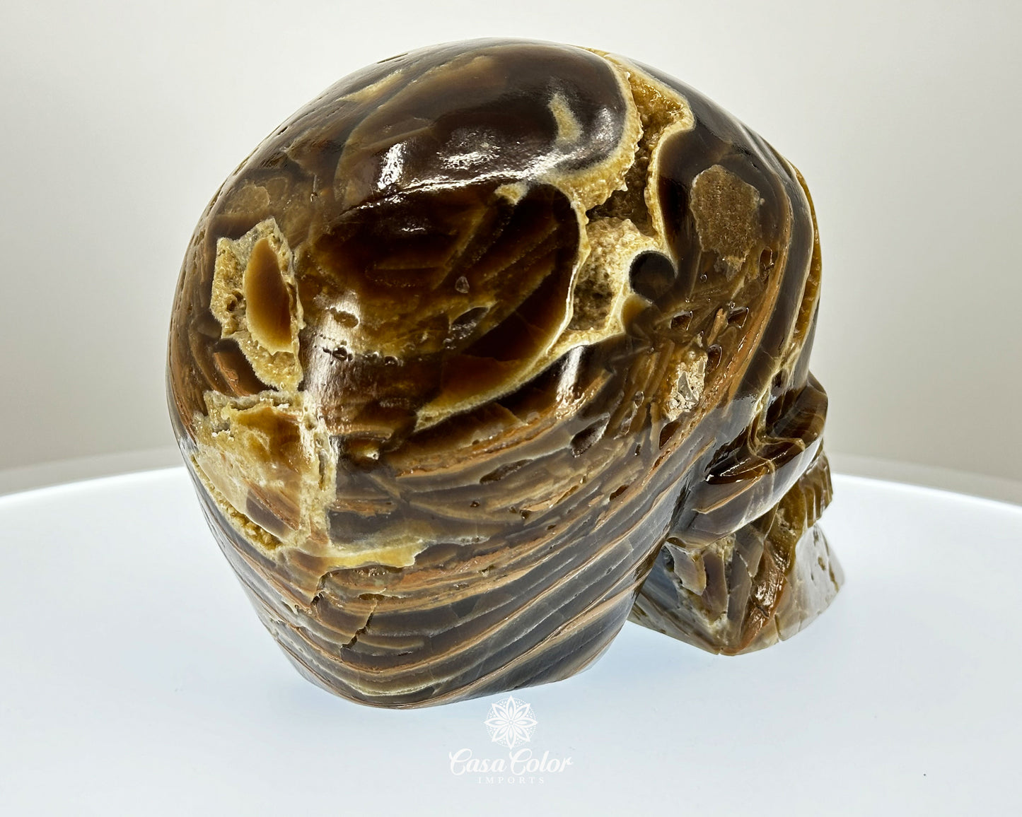 Banded Brown Onyx Hand Carved Realistic Skull with Crystal Formations- 6.25"