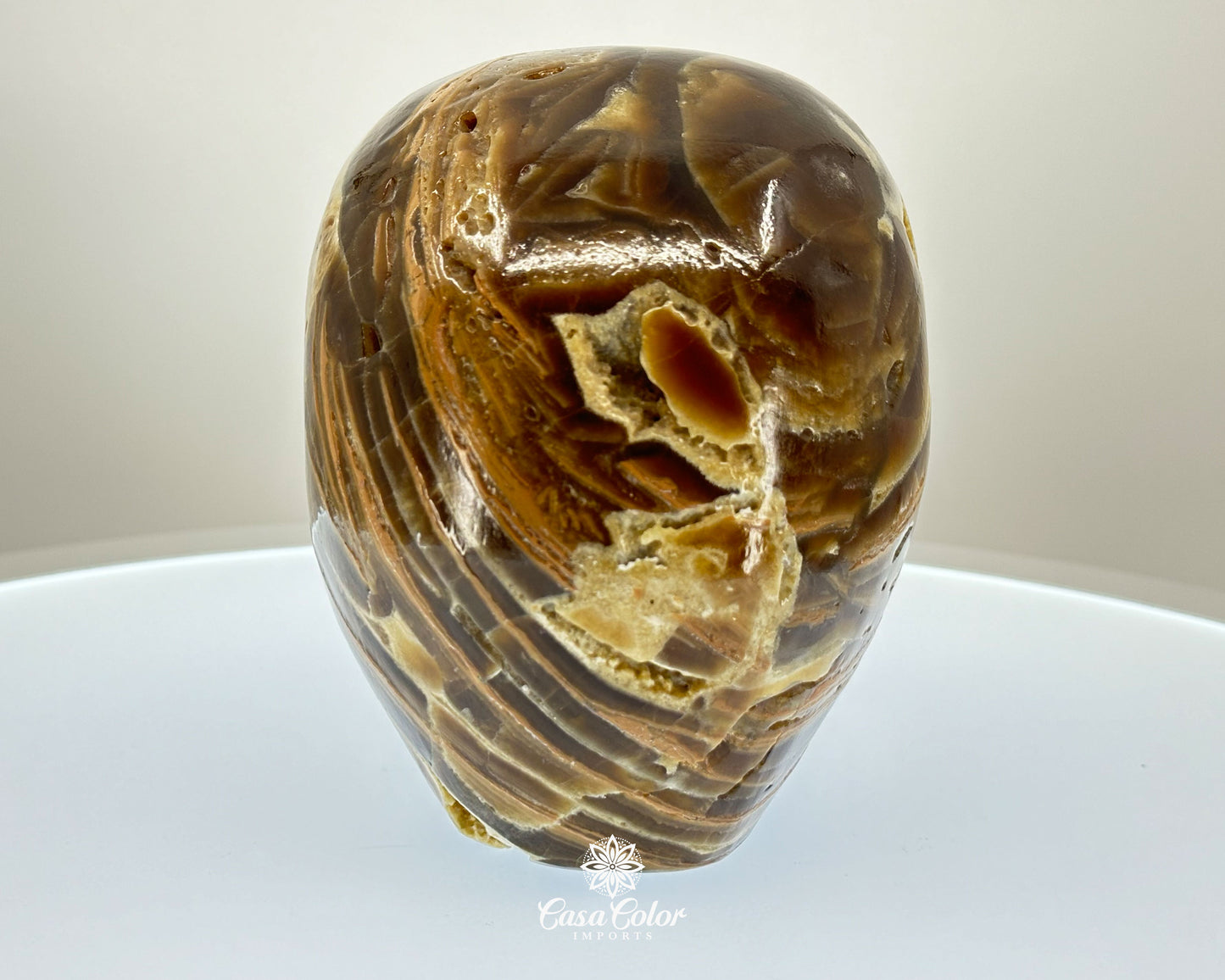 Banded Brown Onyx Hand Carved Realistic Skull with Crystal Formations- 6.25"