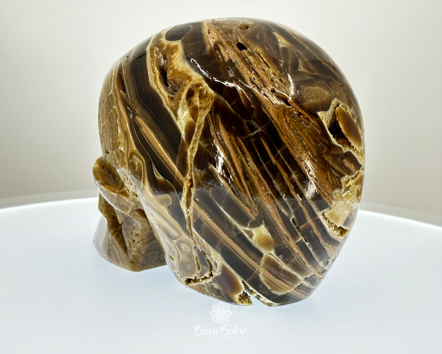 Banded Brown Onyx Hand Carved Realistic Skull with Crystal Formations- 6.25"