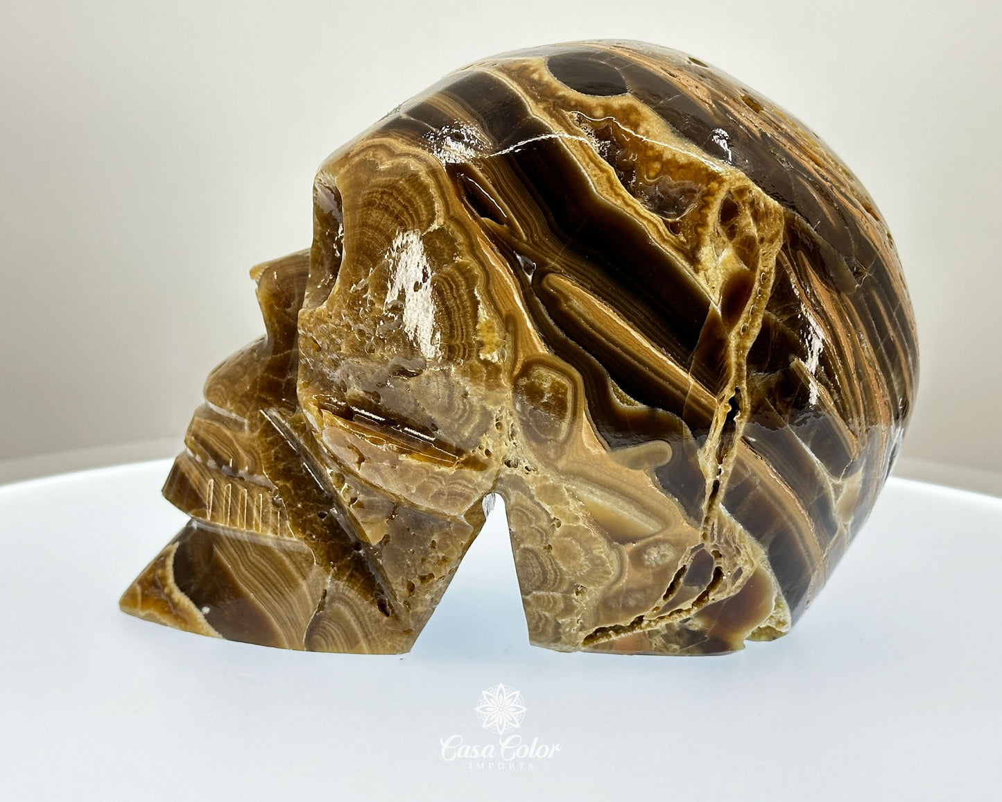 Banded Brown Onyx Hand Carved Realistic Skull with Crystal Formations- 6.25"