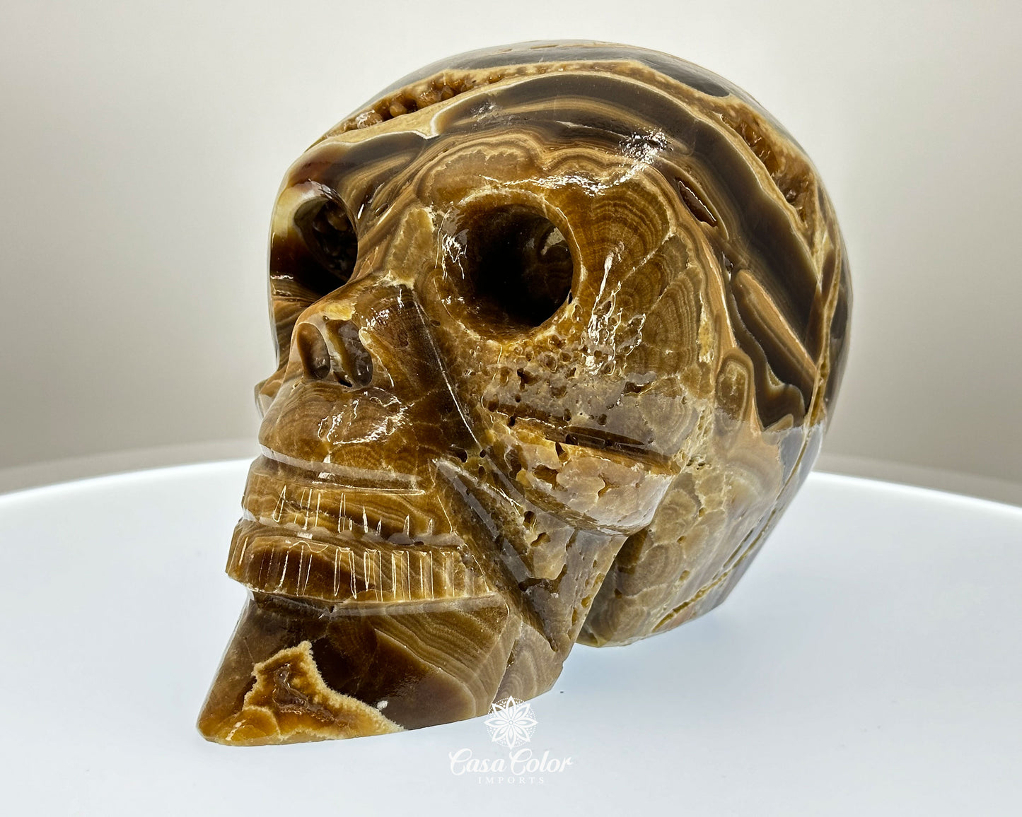 Banded Brown Onyx Hand Carved Realistic Skull with Crystal Formations- 6.25"