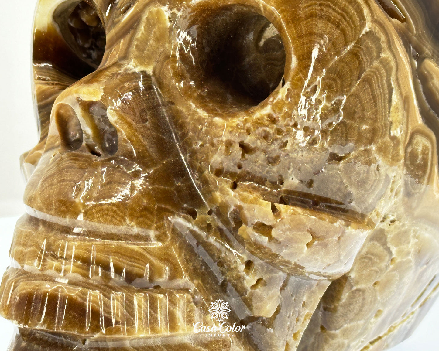 Banded Brown Onyx Hand Carved Realistic Skull with Crystal Formations- 6.25"