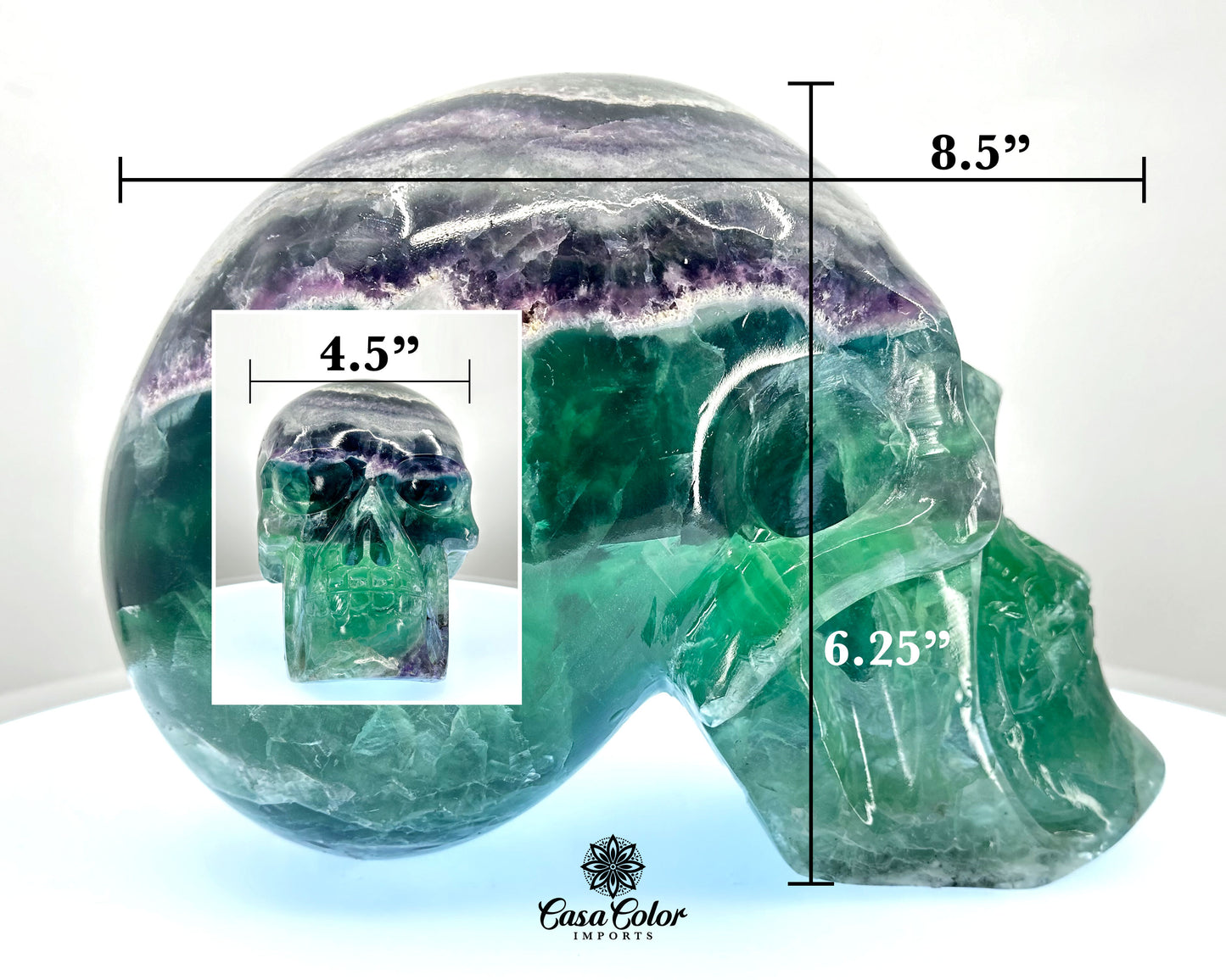 8.5" Real Fluorite Hand Carved Crystal Skull, Super Realistic, Crystal Healing