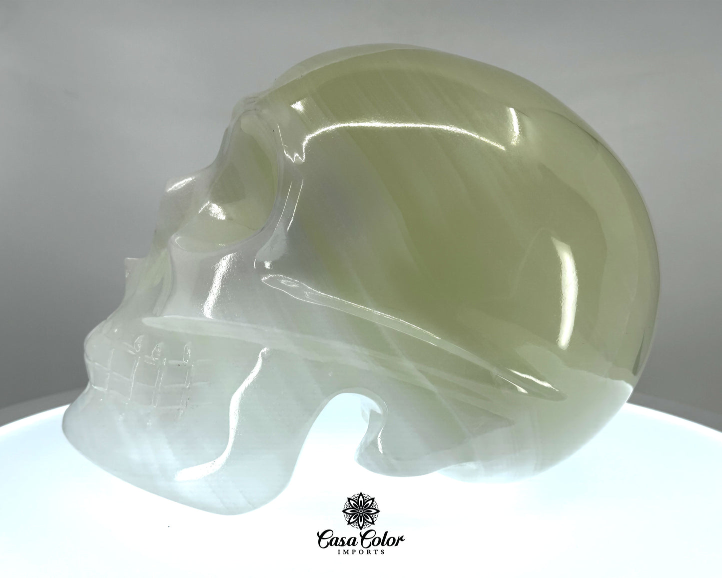 Large 9" White Onyx Hand Carved and Polished Crystal Skull.