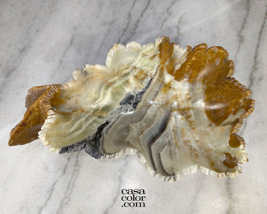 Stunning Fish Shape Onyx Bowl with Raw Edges 19.5"