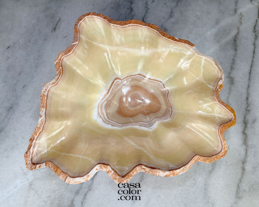 Eye Beta Onyx Beige and White Bowl 21.5"
