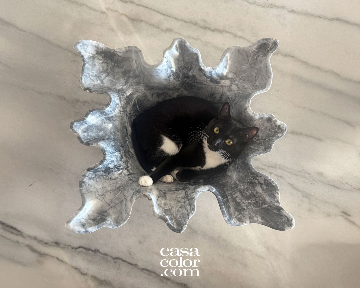 Deep Black and White Onyx Bowl